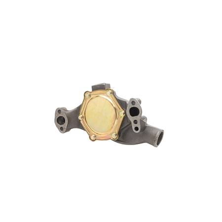 Dayco Water Pump, Dp819 DP819